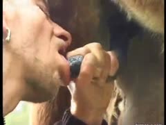 Guy is skilled at blowjobping horses.